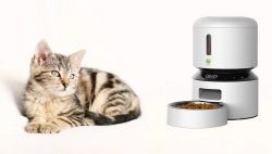 Best automatic pet feeder