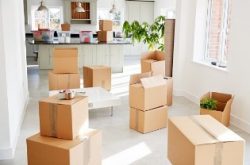 Removalists Inner West