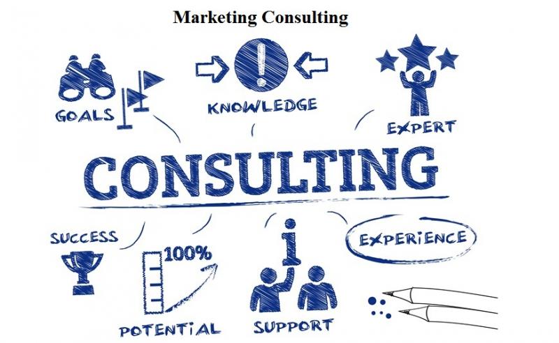 Marketing Consulting Agency in Florida