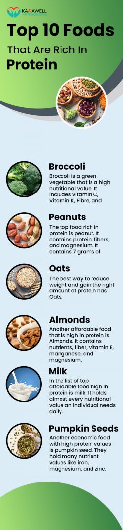 Top 10 Everyday Foods That Are Rich In Protein