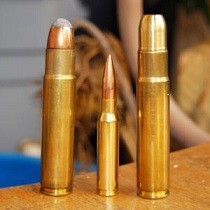 Get Bulk Ammo Online At A Reasonable Price