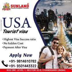 USA Multiple Tourist visa