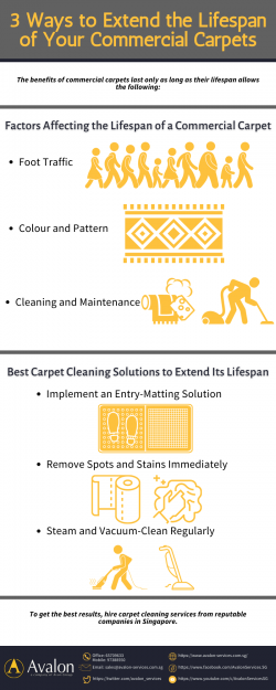 3 Ways to Extend the Lifespan of Your Commercial Carpets