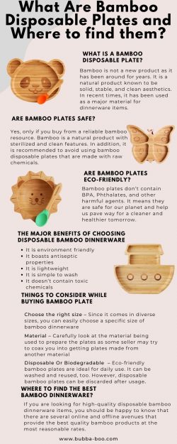 What Are Bamboo Disposable Plates and Where to find them?