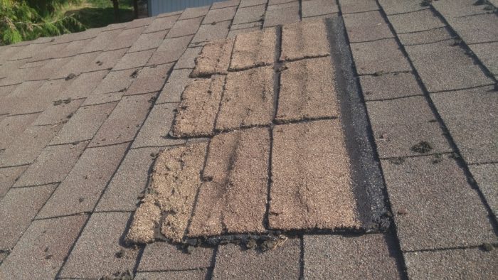 What Is the Cost To Patch A Roof?