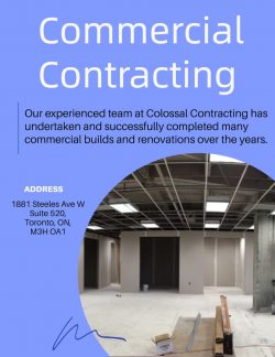 professional commercial contracting services