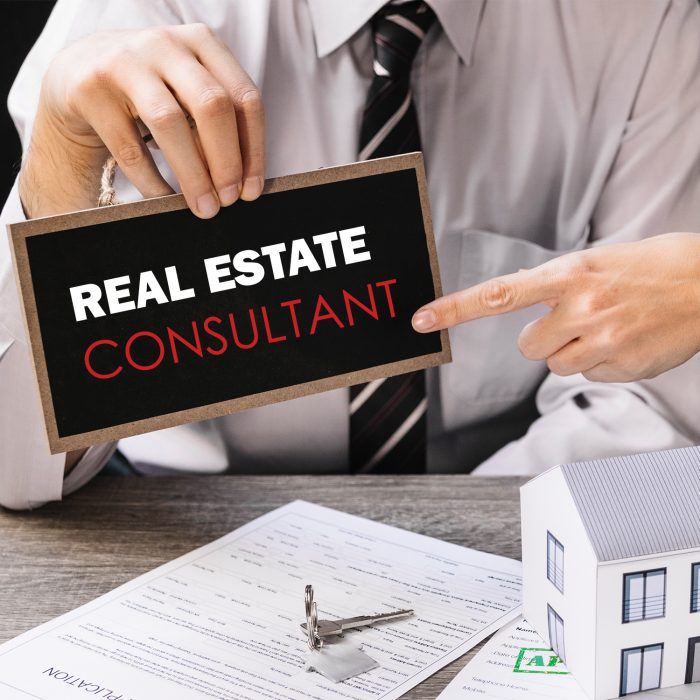 Best Real Estate Consultant