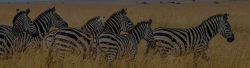 Kenya-destinations – Professional Safari Africa