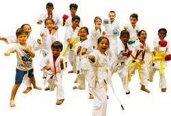 Karate classes Mauritius