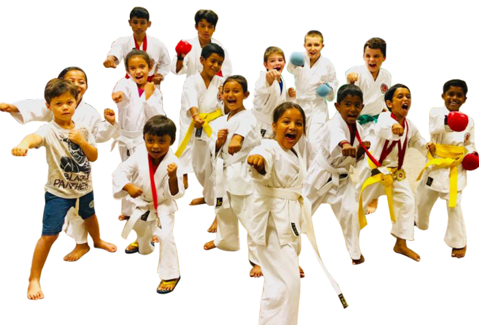 Karate classes Mauritius