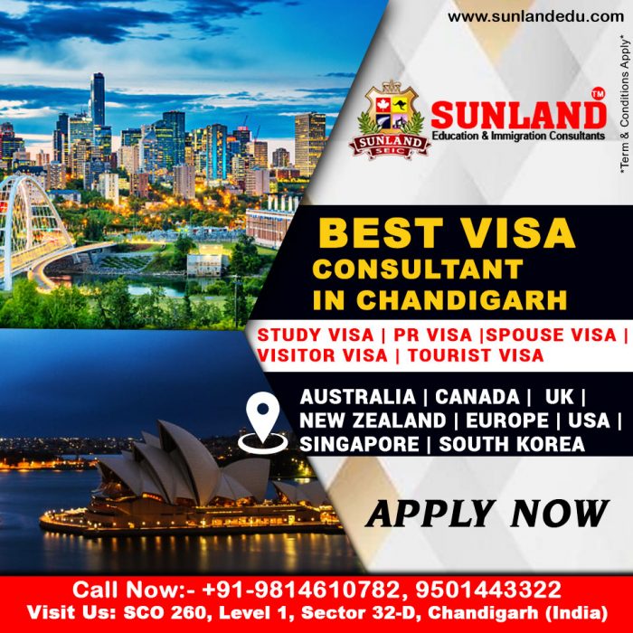 Best Visa Consultant in Chandigarh