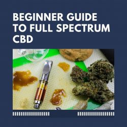 Beginner Guide To Full Spectrum CBD