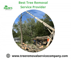 Best Tree Removal Service Provider in Florence ky
