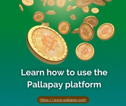 Learn how to use the Pallapay platform
