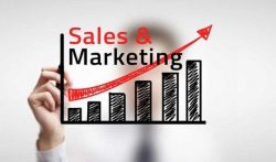 Sales And Marketing Opportunities