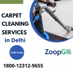 Carpet cleaning services in Delhi- Professional Cleaner