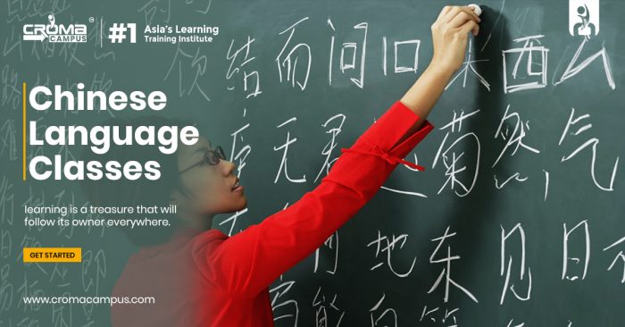 Chinese Language online Training in India