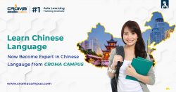 Chinese Language online Course in India