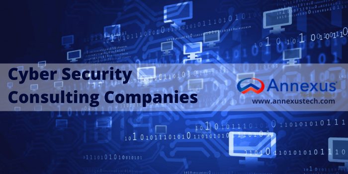 Cyber Security Consulting Companies – Annexus Tech