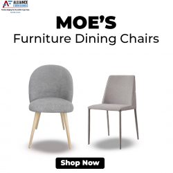Moe’s Furniture Dining Chairs for Sale