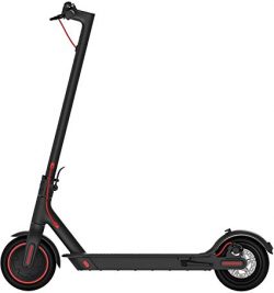 Electric Scooter Rental Services In Zadar