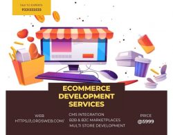 eCommerce development services