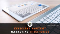 The Efficient Content Marketing Strategies