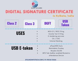 Efiling Digital signature Authentication