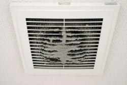 Expert Air duct Cleaning Services