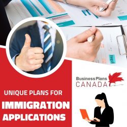 Experts in Immigration Business Plan