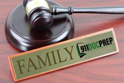 Family Law Document Preparation Service Orlando, FL