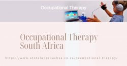 Occupational therapy South Africa