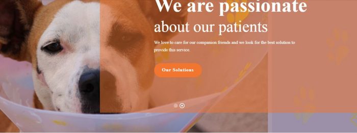 Find a vet in lagos