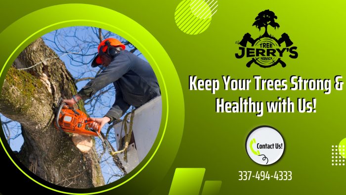Hire the Best Arborists in Lake Charles