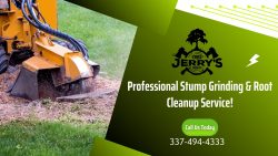 Hire the Right Stump Grinding Service in Lake Charles