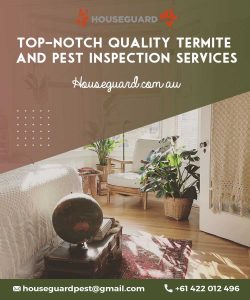 No more termites again with our professional Termite Treatment Brisbane North