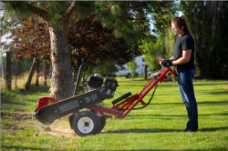 What You Need to Know Before You Have a Stump Grinding Service Come To Your Home