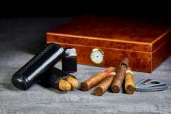 Get Guide on How to Store Cigars