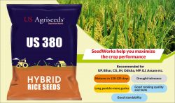 Hybrid Rice Seed Manufacturer | Seedworks.com