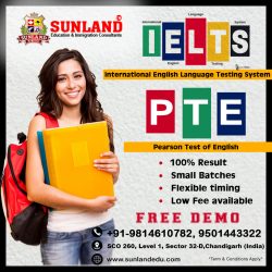 Learn IELTS & PTE in Chandigarh