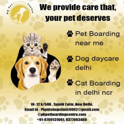 Pet Boarding near me | Dog daycare Delhi | Cat Boarding in Delhi NCR