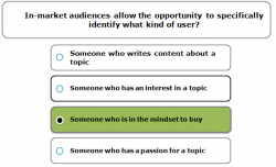 in-market audiences allow the opportunity to specifically identify what kind of user? | What is  ...