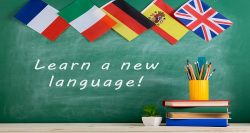 Which Language Course Is Best: Spanish or Italian?