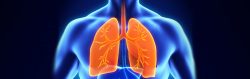 Guide to Stem Cell Therapy for Damaged Lungs – What You Should Know?