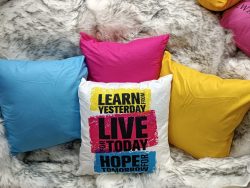 Beautiful Pillow Covers with Fibre Inserts