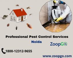 Make your home pests free by hiring Pest control service in Noida