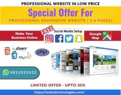 Professional Website in Low Price