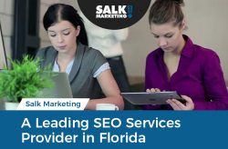 Salk Marketing – A Leading SEO Services Provider in Florida