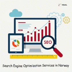 Result Oriented SEO Agency in Toronto