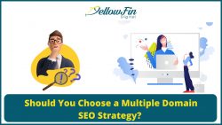 Is it Worth it Using Multiple Domain SEO Strategy? – Yellowfin Digital